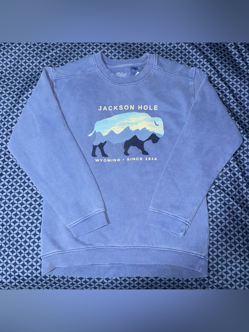 New Blue 84 Jackson Hole Wyoming Crewneck Bison Mountain Graphic Size Youth M